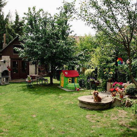 Podkrovni Apartman S Vyhledem Na Namesti Lomnice nad Lužnicí Zewnętrze zdjęcie